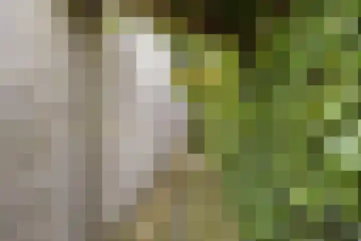 Doornenburgallee 4 Duiven thumbnail 44