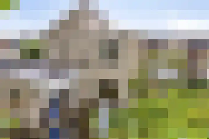 Doornenburgallee 4 Duiven thumbnail 45