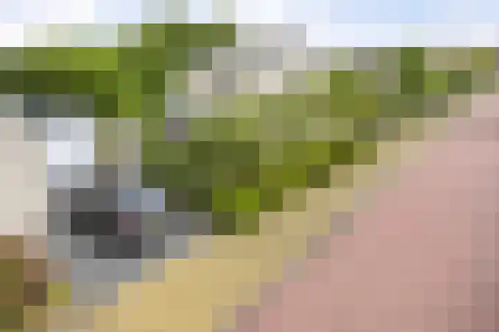 Doornenburgallee 4 Duiven thumbnail 48