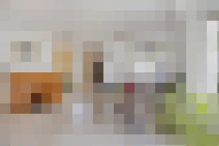 Doornenburgallee 4 Duiven thumbnail 9