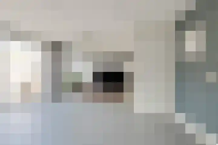 Doornenburgallee 9 Duiven thumbnail 11