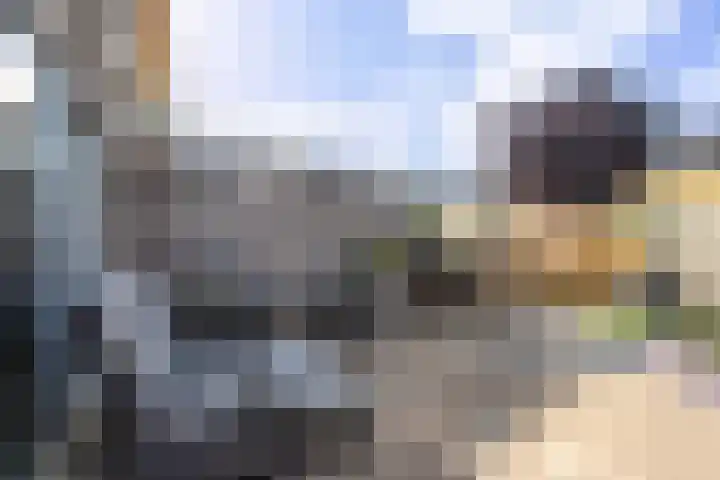 Doornenburgallee 9 Duiven thumbnail 16