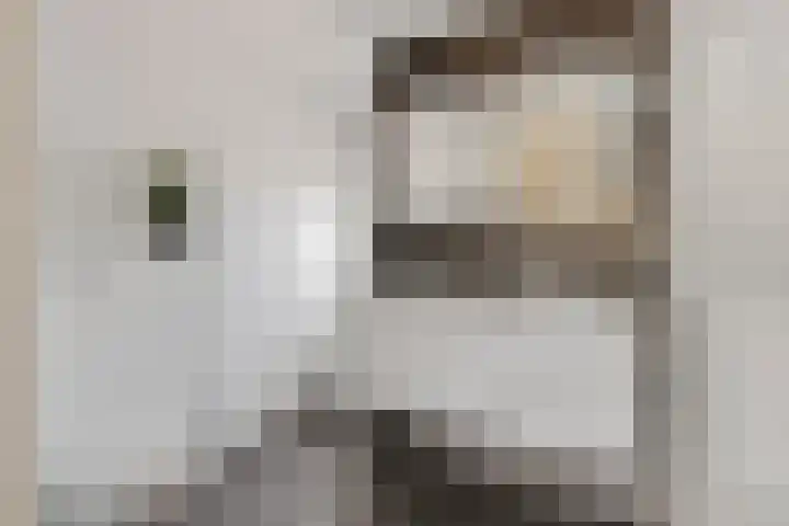 Doornenburgallee 9 Duiven thumbnail 30