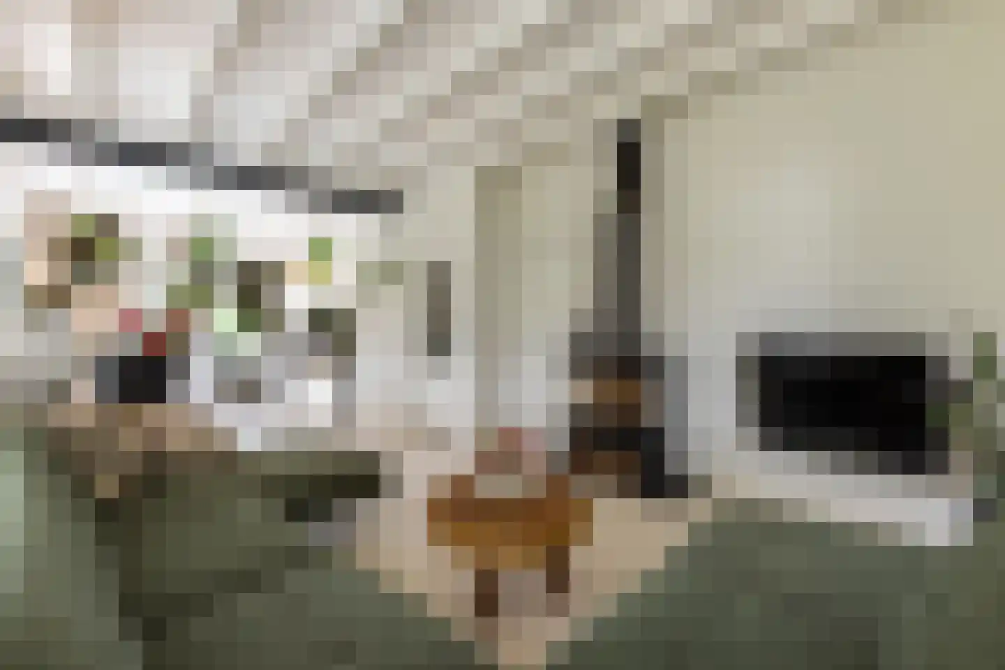 Doornenburgsestraat 9 Gendt thumbnail 11