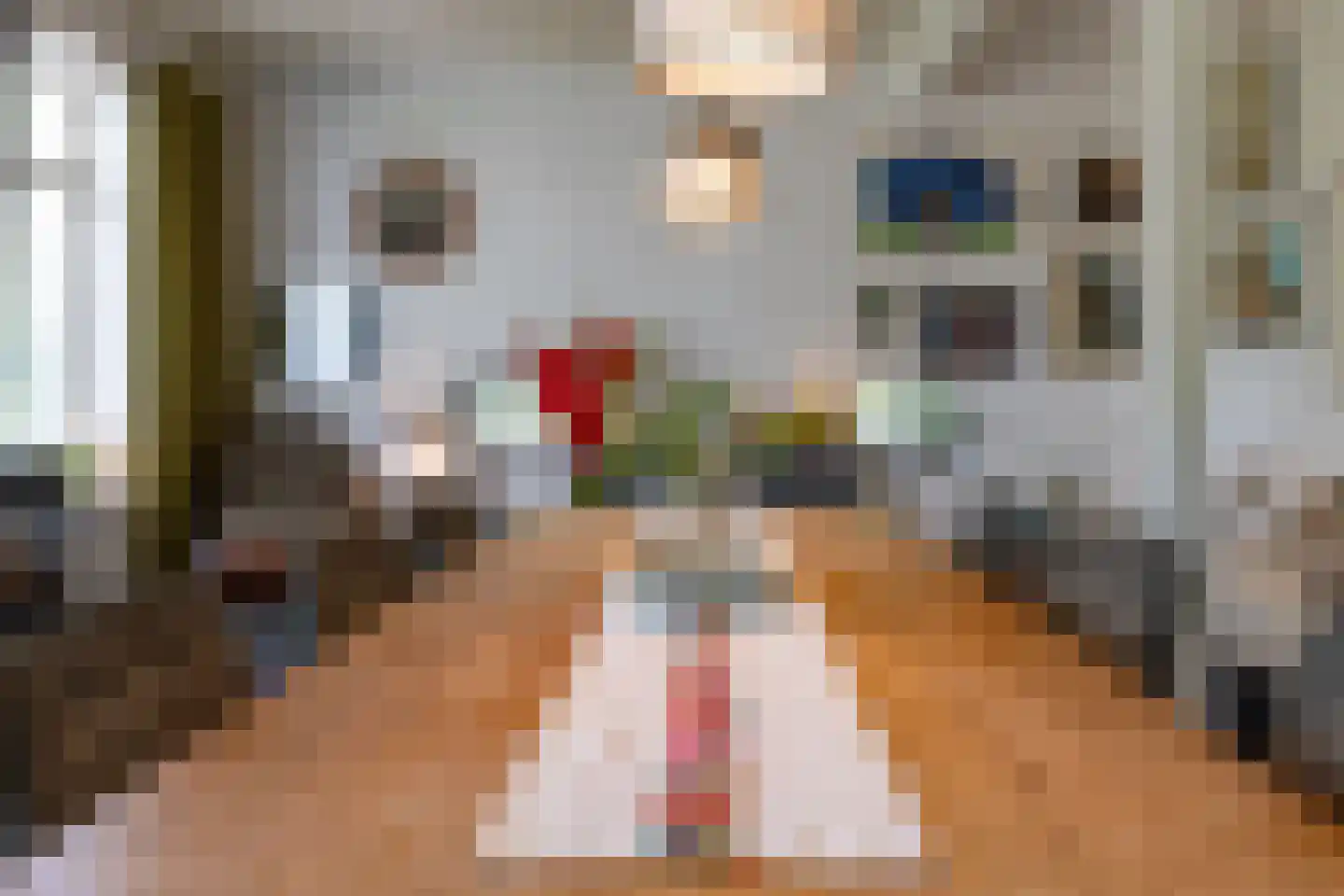 Doornenburgsestraat 9 Gendt thumbnail 21
