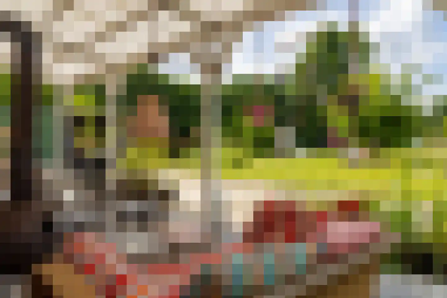 Doornenburgsestraat 9 Gendt thumbnail 27
