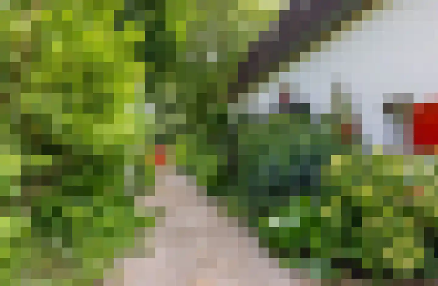 Doornenburgsestraat 9 Gendt thumbnail 37