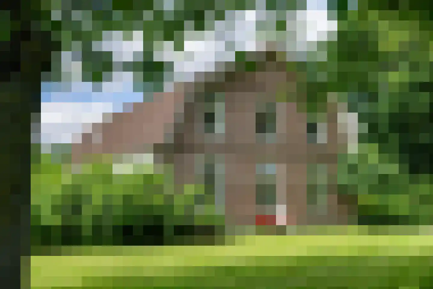 Doornenburgsestraat 9 Gendt thumbnail 39