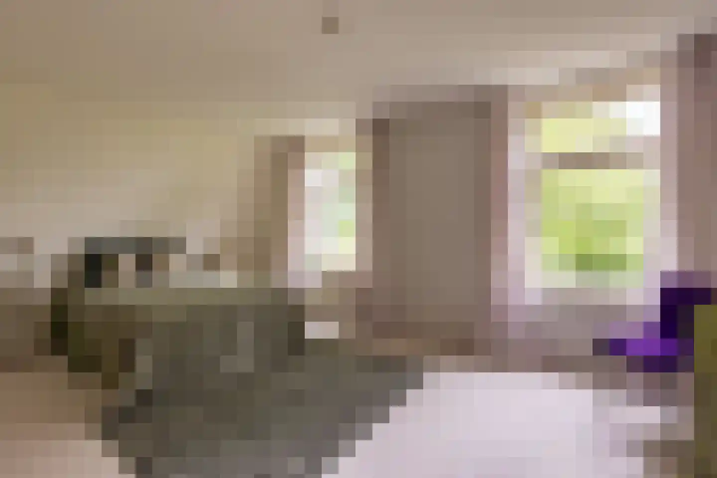 Doornenburgsestraat 9 Gendt thumbnail 43