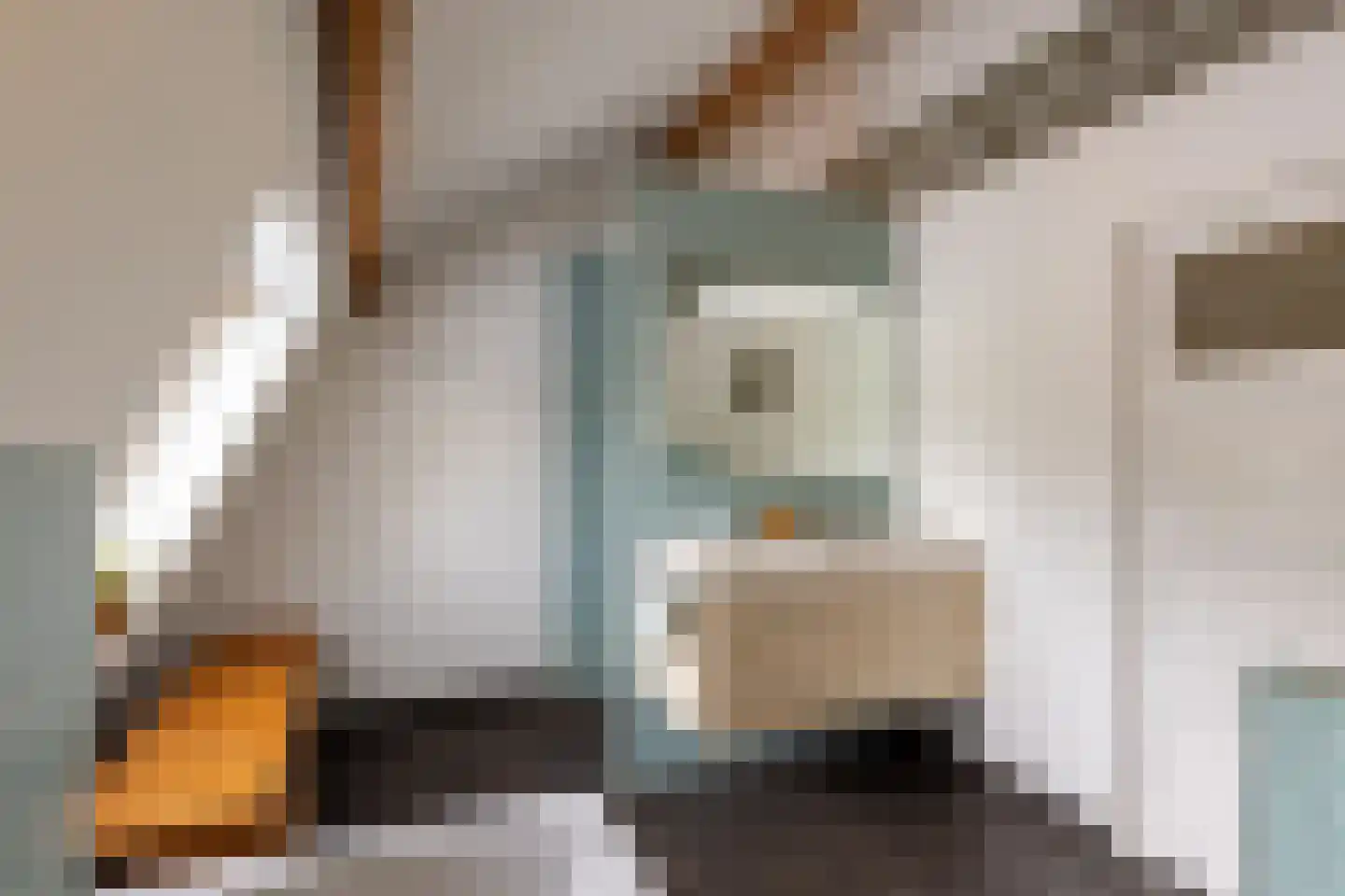 Doornenburgsestraat 9 Gendt thumbnail 44