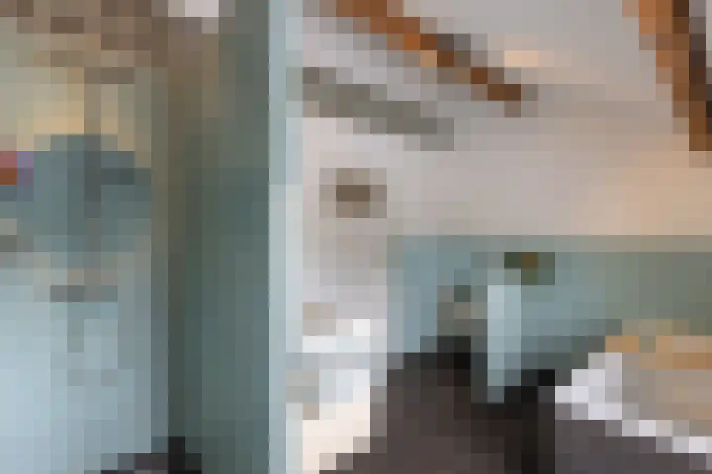 Doornenburgsestraat 9 Gendt thumbnail 45