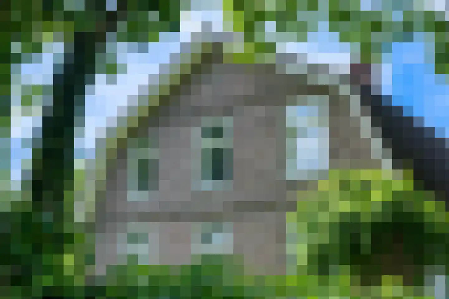 Doornenburgsestraat 9 Gendt thumbnail 49