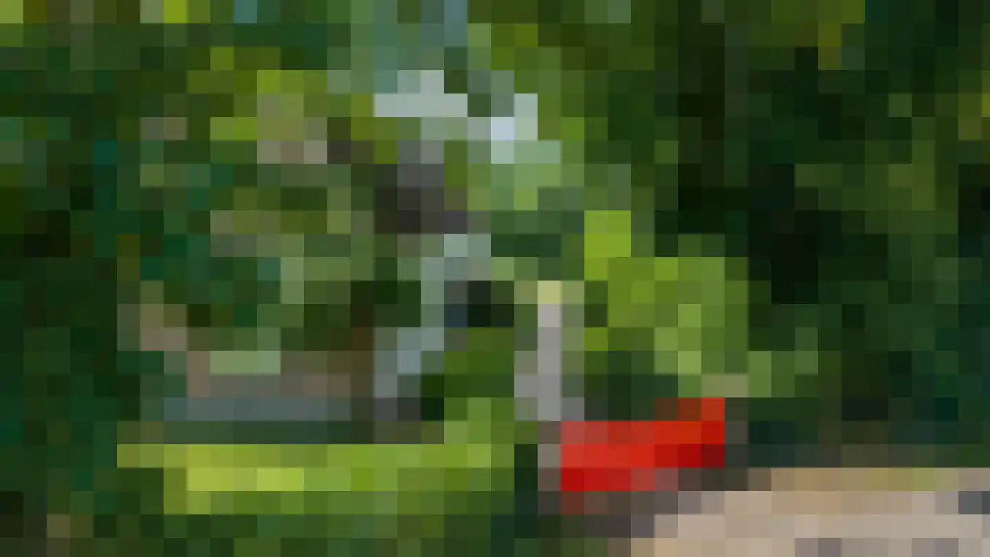Doornenburgsestraat 9 Gendt thumbnail 50