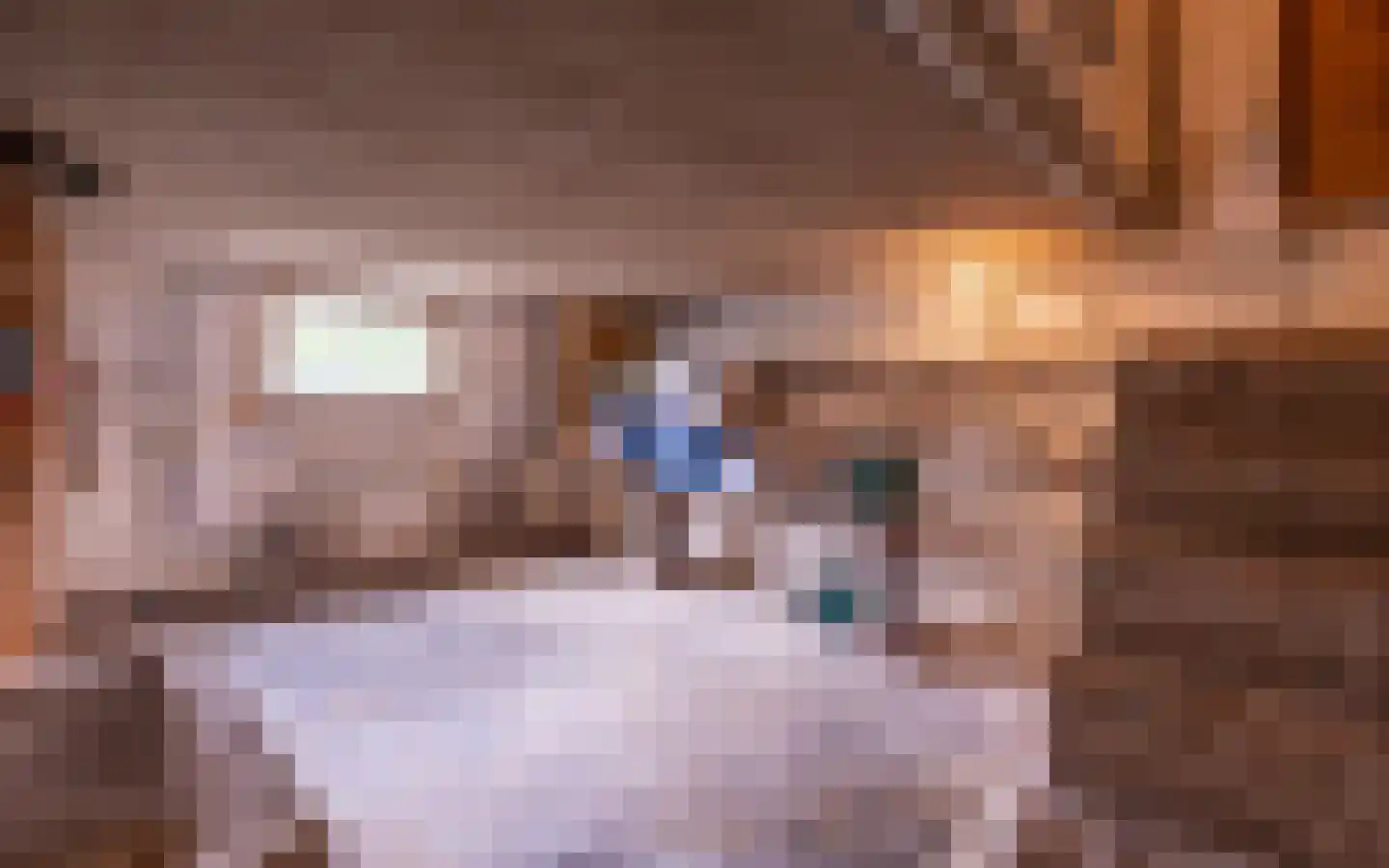 Doornenburgsestraat 9 Gendt thumbnail 8