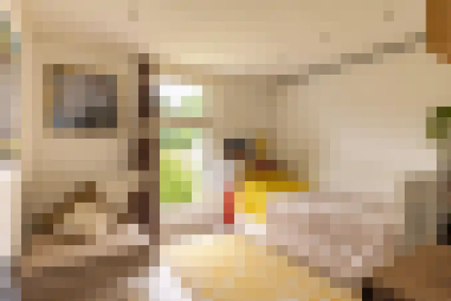 Doornenburgsestraat 9 Gendt thumbnail 9