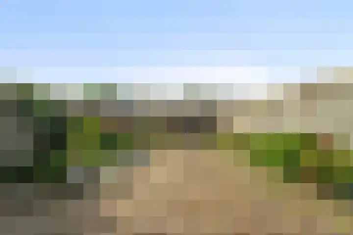 Doornenhof 19 Schagen thumbnail 12