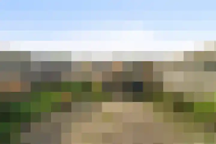 Doornenhof 19 Schagen thumbnail 13