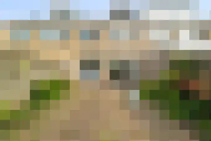 Doornenhof 19 Schagen thumbnail 14