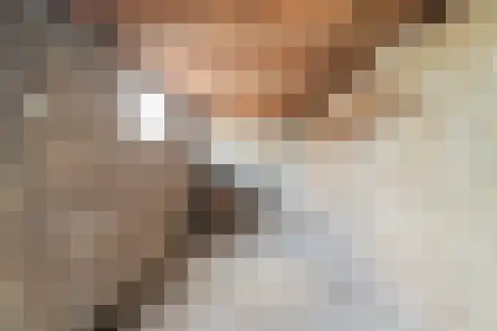 Doornenhof 19 Schagen thumbnail 15