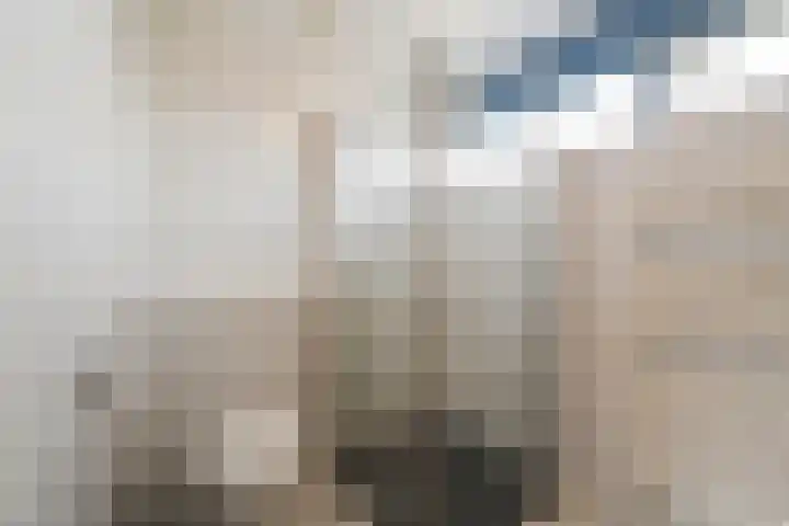 Doornenhof 19 Schagen thumbnail 20