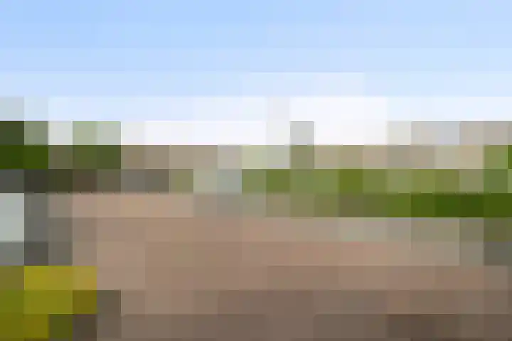 Doornenhof 19 Schagen thumbnail 26