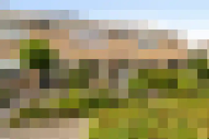 Doornenhof 19 Schagen thumbnail 31