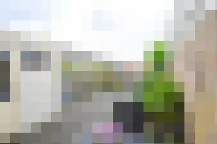 Doornenhof 22 Schagen thumbnail 11