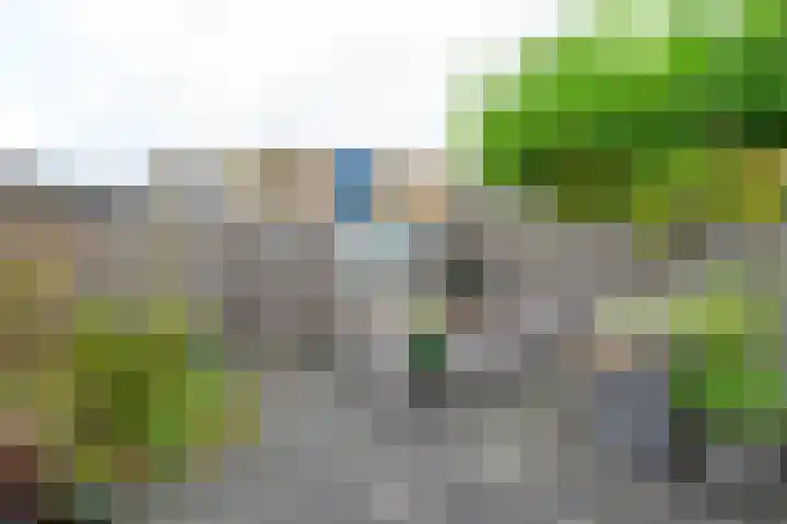 Doornenhof 22 Schagen thumbnail 12