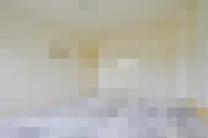 Doornenhof 22 Schagen thumbnail 21