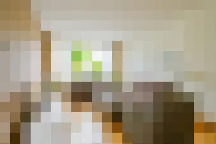 Doornenhof 22 Schagen thumbnail 4