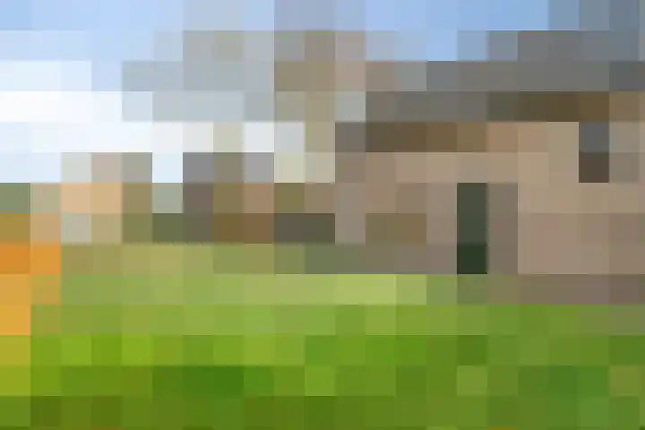 Doornenkamp 14 Doornspijk thumbnail 39