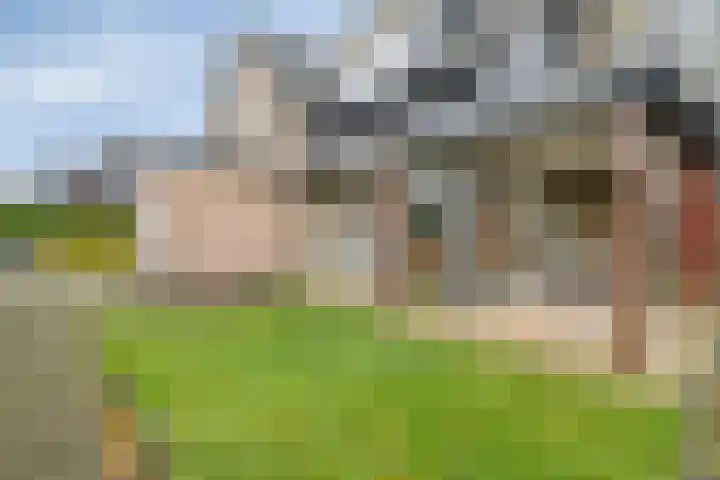 Doornenkamp 14 Doornspijk thumbnail 45