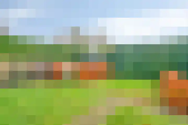 Doornenkamp 14 Doornspijk thumbnail 48