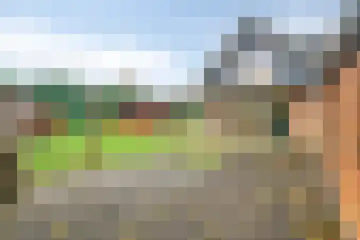 Doornenkamp 14 Doornspijk thumbnail 5