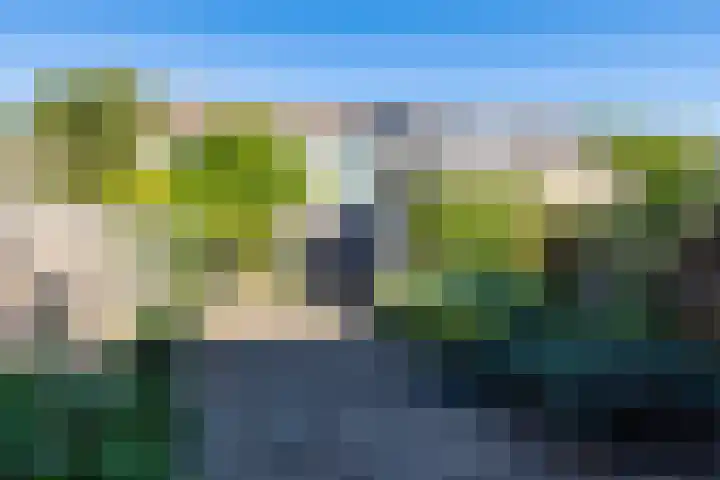 Doornenkampseweg 26 Heelsum thumbnail 21