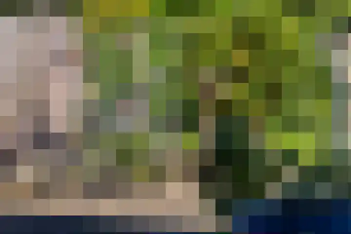 Doornenkampseweg 26 Heelsum thumbnail 23