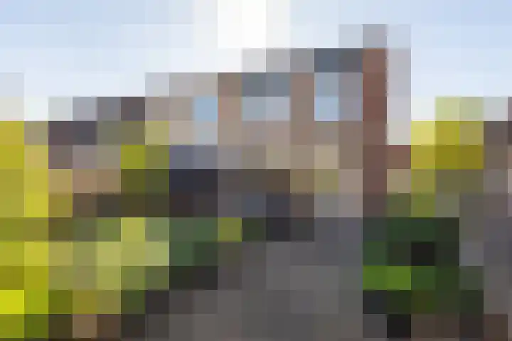 Doornenkampseweg 26 Heelsum thumbnail 24