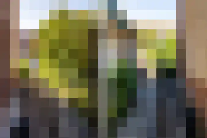 Doornenkampseweg 26 Heelsum thumbnail 25