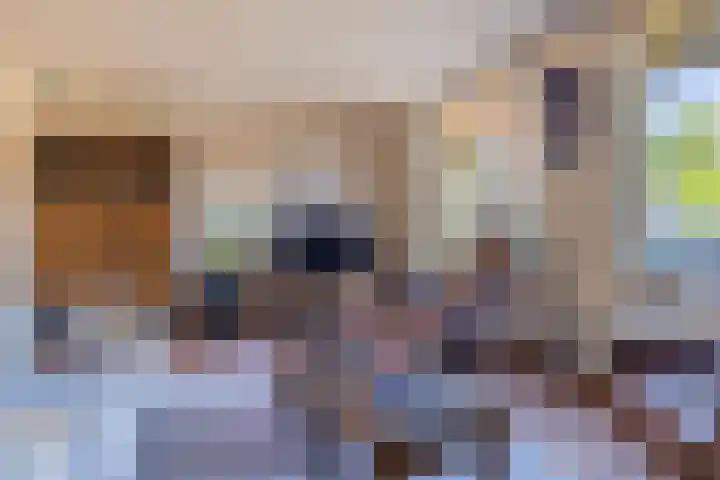 Doornenkampseweg 26 Heelsum thumbnail 8