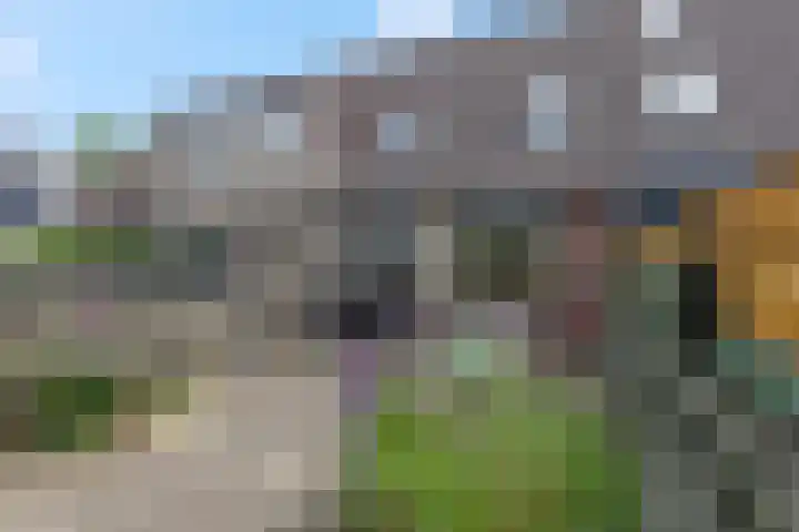 Doornenkampseweg 32 Heelsum thumbnail 24