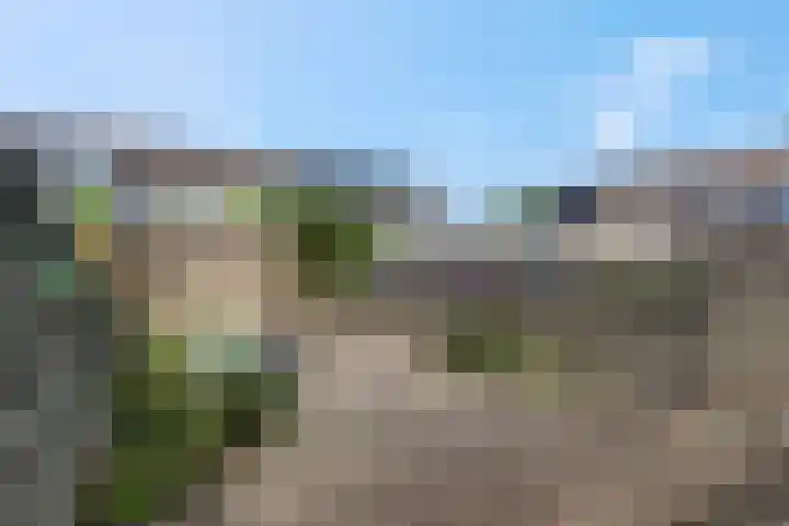 Doornenkampseweg 32 Heelsum thumbnail 25