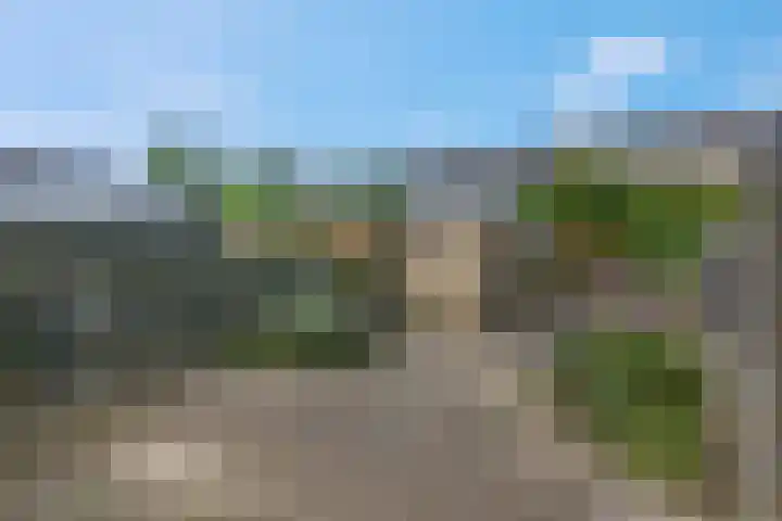 Doornenkampseweg 32 Heelsum thumbnail 26