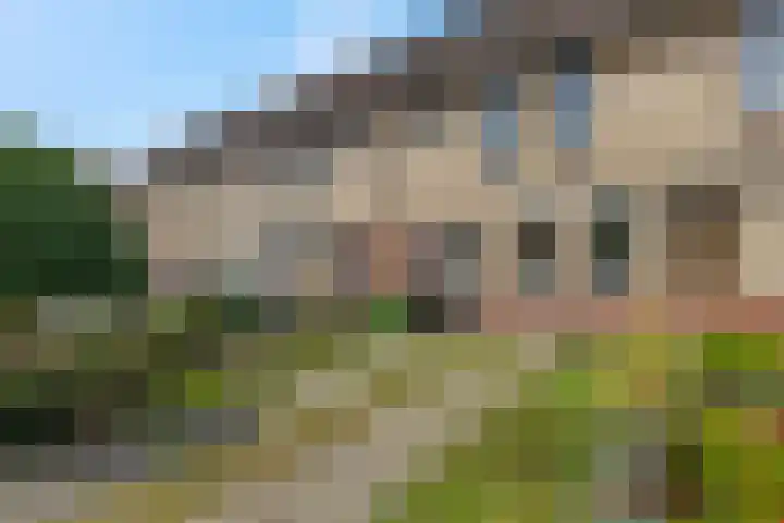 Doornenkampseweg 32 Heelsum thumbnail 27
