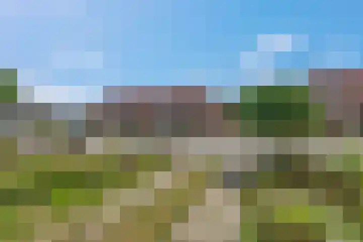 Doornenkampseweg 32 Heelsum thumbnail 31