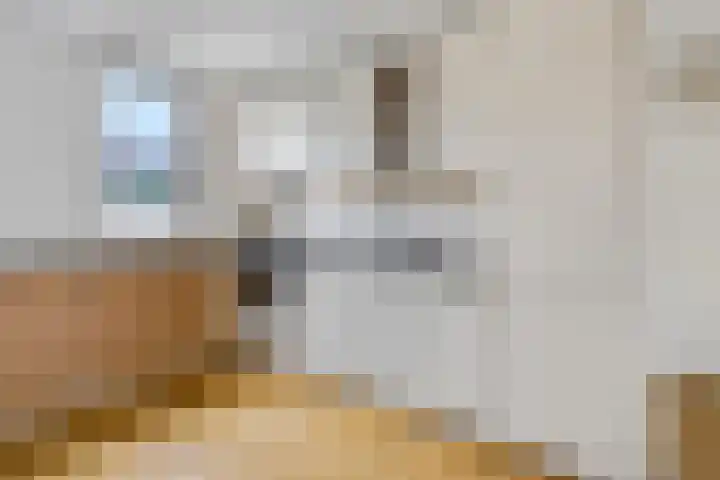 Doornenkampseweg 32 Heelsum thumbnail 7