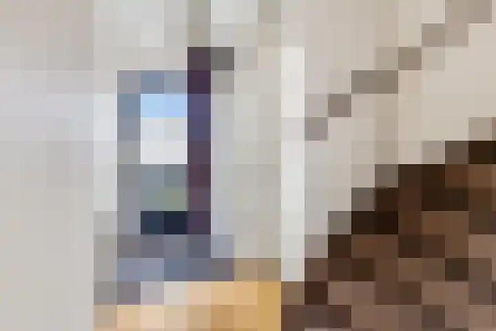 Doornenkampseweg 32 Heelsum thumbnail 9