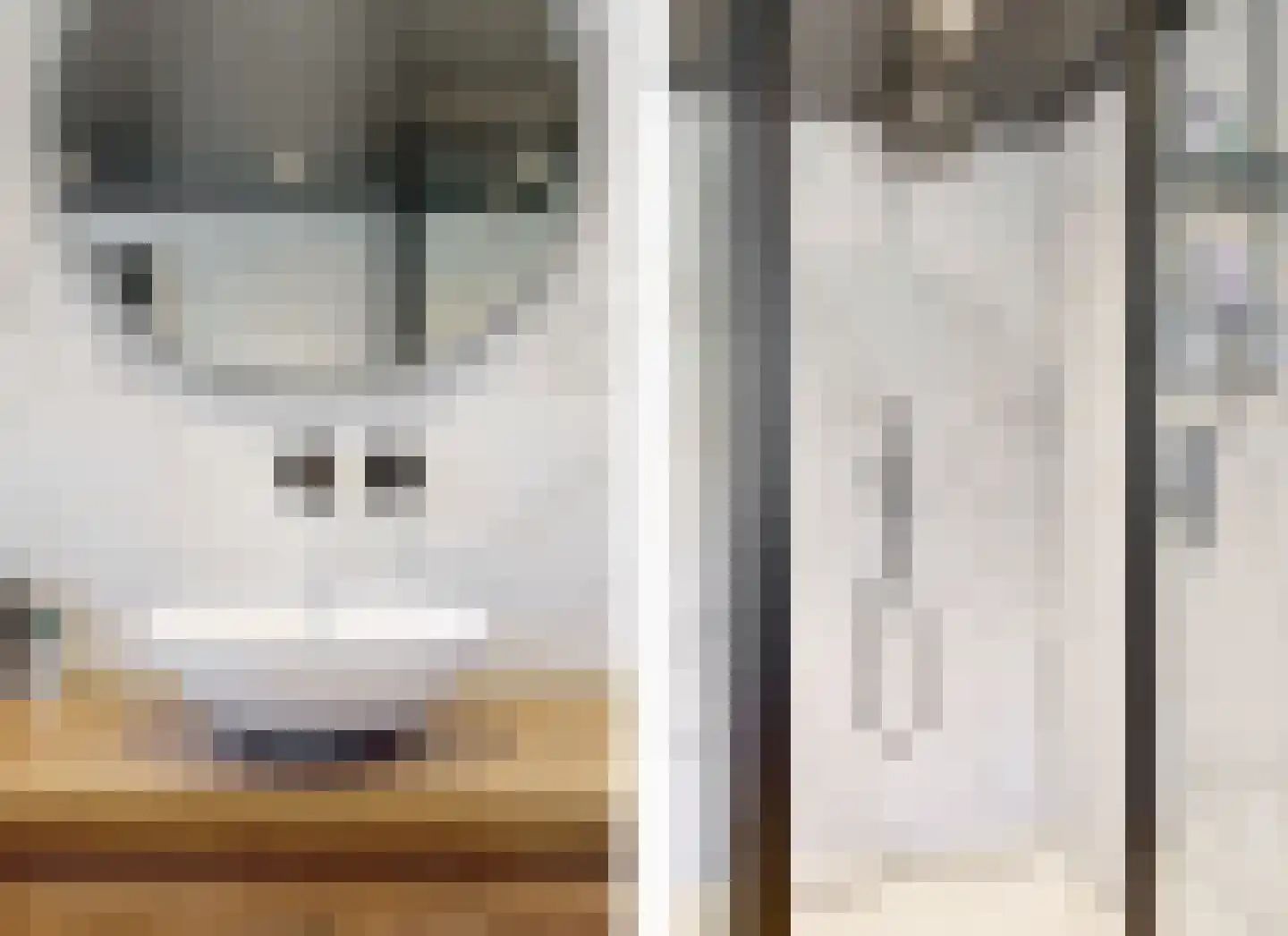 Doornenkampseweg 4 Heelsum thumbnail 21