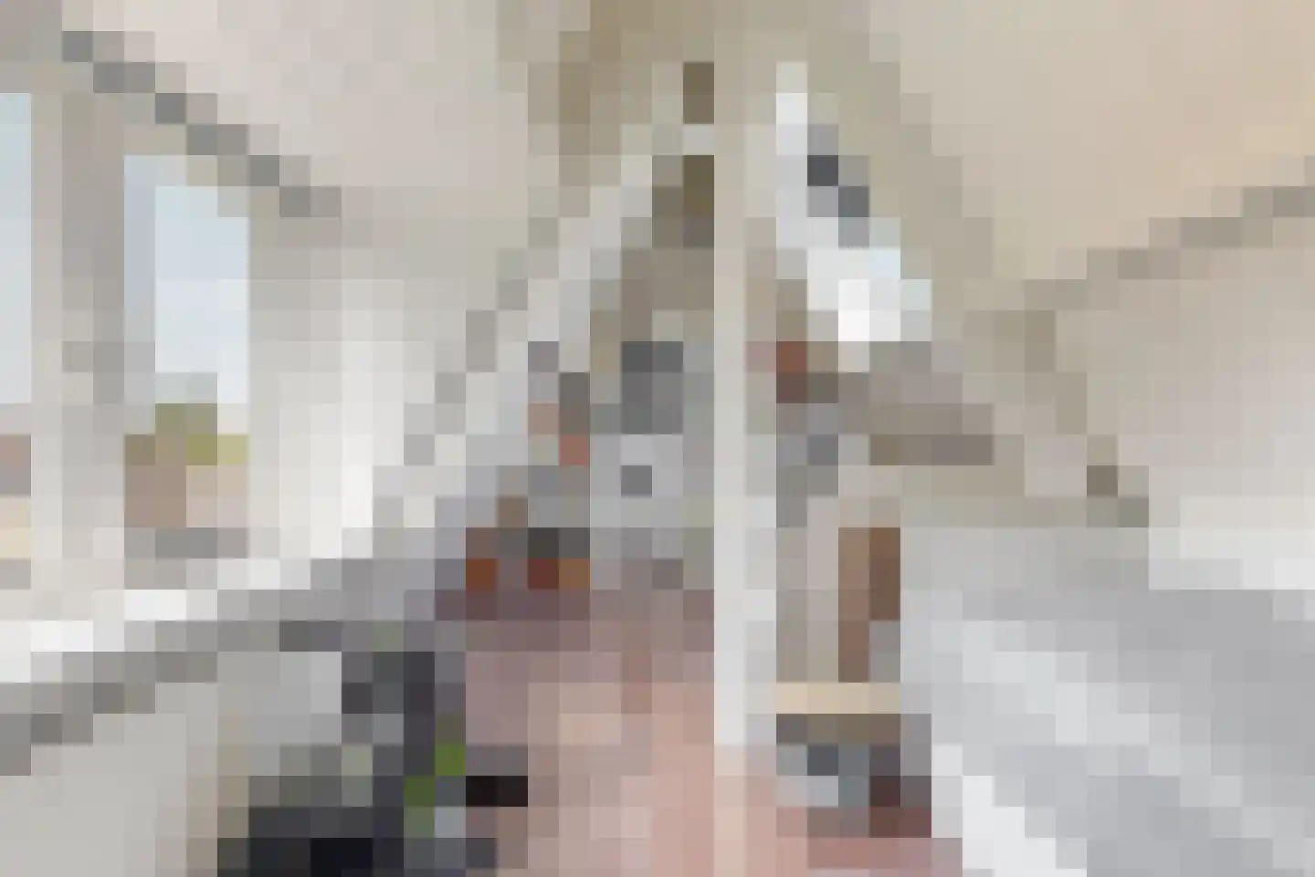Doornenkampseweg 4 Heelsum thumbnail 22
