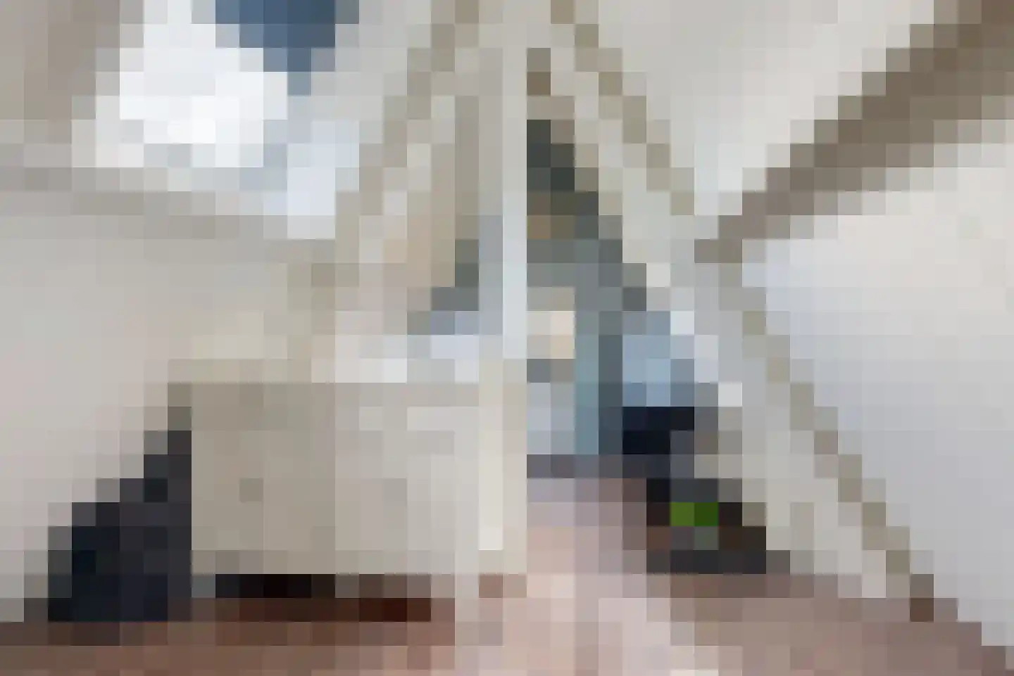 Doornenkampseweg 4 Heelsum thumbnail 23