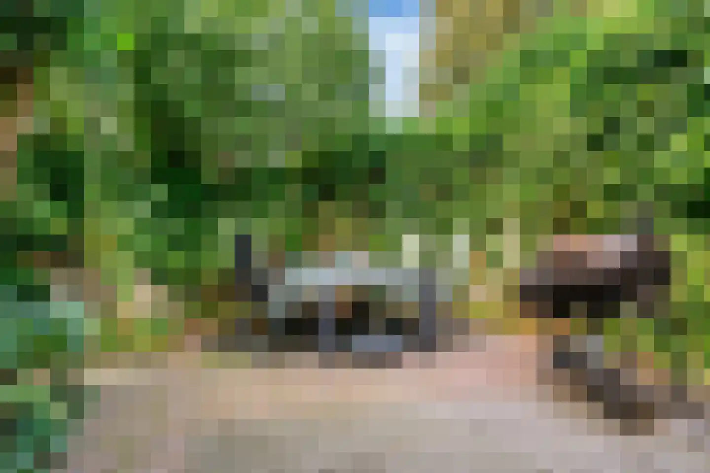 Doornenkampseweg 4 Heelsum thumbnail 28